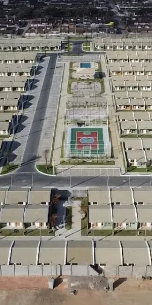 Jardim das Dracenas - Dezembro