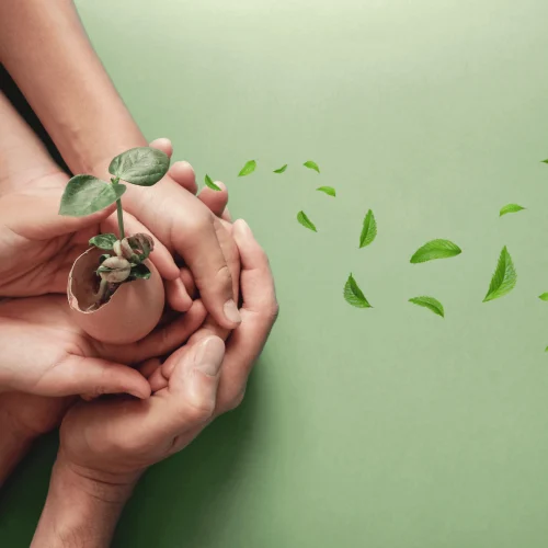 ResponsabilidadeSocial10032024